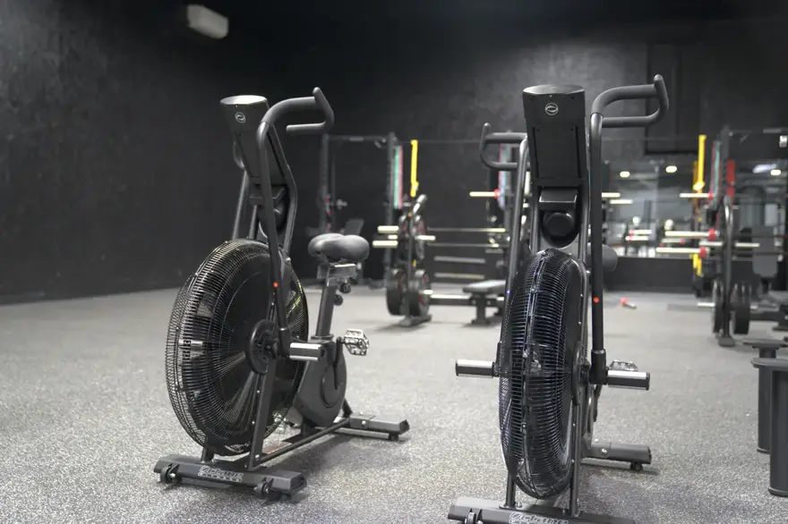 Racks, benches and plate-loaded machines on the strength floor.